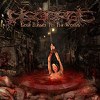 Disgorge (MEX)- Gore Blessed To The Worms CD on Xtreem Music